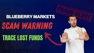 🚨Blueberry Markets Review: SCAM Investigation | Trace Your Lost Funds | 2025 Investor Alert