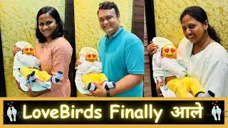 LoveBirds Finally आले | Marathi Vlog 612 |