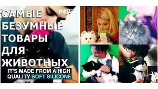 Самые безумные товары для животных