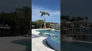 Meet The Green Dolphin Project