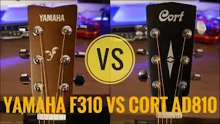 Yamaha F310 vs Cort AD810 | Detailed Comparison | The Guitar Chronicles
