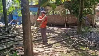 WORKER&rsquo;S SKILL IN SPLITTING BAMBOO IS HIGHLY PRECISE USING A MACHETE! -Agriculture Farming