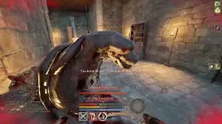 Mortal Online 2. 1 ESpartan vs 6 Seclusion