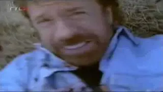 Chuck Norris Vs Bear REMIX