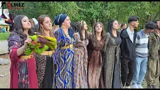 Govenda Gelya Başkala Şahiya Vedat Hülya Özgün Tekçe