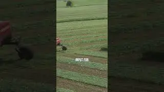 Darren explains the importance of retaining hay quality with the Case IH WD5 Series windrowers.