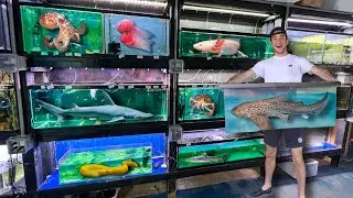 This Store SOLD Me a Live SHARK EGG!!