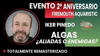 🟢 Las algas, ¿aliadas o enemigas? | Iker Pinedo – Ponencias Firemouth  Aquaristic 2025 (3/8)