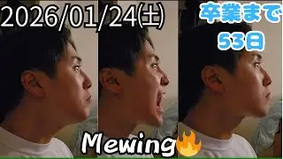 Day188_今日は何もない素晴らしい1日だった！