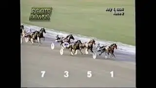 1996 Scioto Downs MIGHTY TIMBER Del S Miller