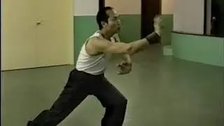 虎鶴雙形拳    馮鏡池師傅演練