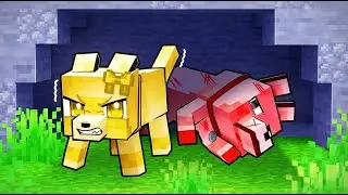 Salvez un LUP RANIT in Minecraft!!!