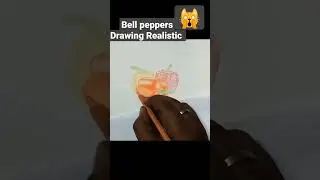 Realistic drawing watercolor bell peppers