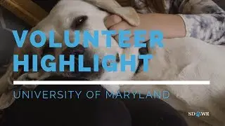 Volunteer Highlight: University of Maryland Service Dog In Training Raisers