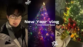 🎁 NEW YEAR VLOG; праздники, день рождения, отдых, подготовка к егэ