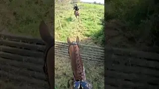 It&rsquo;s almost time to do this all over again! #hunting #hunt #gallop #hound #equestrian