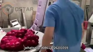 #packagingmachine Automatic Chain Bucket Conveyor Apple Potato Pineapple Mesh Bag Packaging Machine