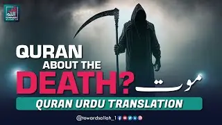 What Quran says about death? | Detailed Video | Urdu/English Translation | Towards Allah