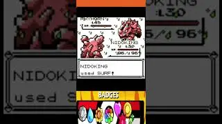 My last battle against rival before the Elite Four member and Champion