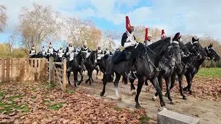 Household Cavalry practice in Hyde Park London
