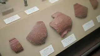 Newport Museum & Heritage Service