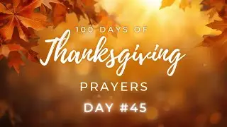 100 Days of Thanksgiving #Day45 of 100 #100Days #Thanksgiving #2025 #BreakingDistractions #Suddenly