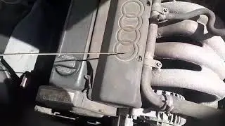 Контрактный двигатель Audi (Ауди) 1.6 ADP | Где купить? | Тест мотора