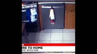 Security Video Shows How The Family Dog Sets The Home On Fire
