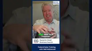 What is DSBS Dynamic Small Business Search for government contractors?