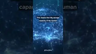 The Mind-Blowing Storage Capacity of the Human Brain