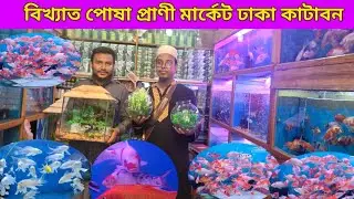 Aquarium Fish price in Bangladesh |   Katabon Animal market in Bangladesh | Fish price in Katabon