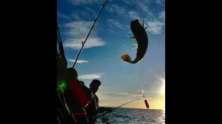 Going Fishing @kintakintyea