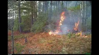 Stockton Island 2017 Prescribed Burn Slideshow