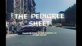 Naked City S02E02 The Pedigree Sheet (1960) Colorized