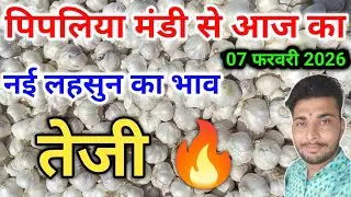 नई ऊटी लहसुन का भाव आज का पिपलिया मंडी New Garlic Price Today Pipliya Mandi February 7, 2026