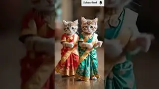 two cats dance #animaldance #dancingcat #catdance #funny #catvideos