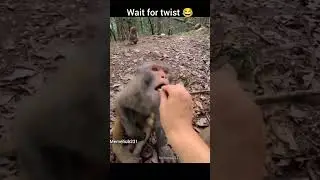 day-12 wait for twist 😂 #funny #waitfortwistmemes #comedy #memes4days #funnymeme