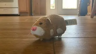 [2023] Zhu Zhu Pet Review on Mr. Squiggles