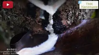 The Art of Chinese Lacquer: Step-by-Step Making of Real Urushi