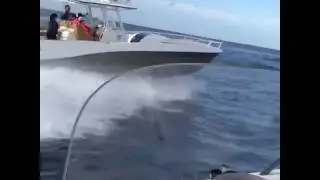 Deep Impact 39