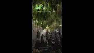 Reyna on King | Toronto Bars