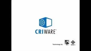 Bandai Namco Games/Criware/ADX/Sofdec/CyberConnect2 (2007)