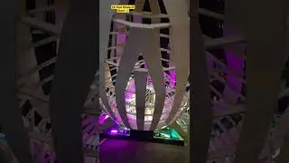 #dasepalli #travel #youtubeshorts #2023 #nycvlog #55foot #steelwhale #videooftheday #video #nyc #4k
