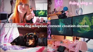 reflecting on life changes, dog adoption, my content creator journey ♡ fairy vlog #1