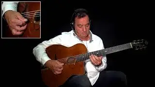 Fapy Lafertin - Topsy ( Gypsy Jazz Solo )