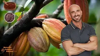 Peruvian Cacao: The Ultimate Cacao for Chocolate Lovers