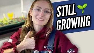Growing Seeds Isn’t Perfect — Emily’s Coleus & Lisianthus Update