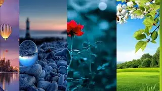Nature whatsapp status full screen 4k | Beautiful nature video status full screen HD #shorts