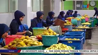 JERUK MADU PAK ALI - MyHalal TV1, 2024