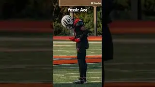 Ace alston Anderson raptors edit